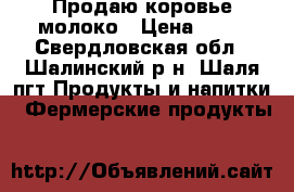 Продаю коровье молоко › Цена ­ 50 - Свердловская обл., Шалинский р-н, Шаля пгт Продукты и напитки » Фермерские продукты   